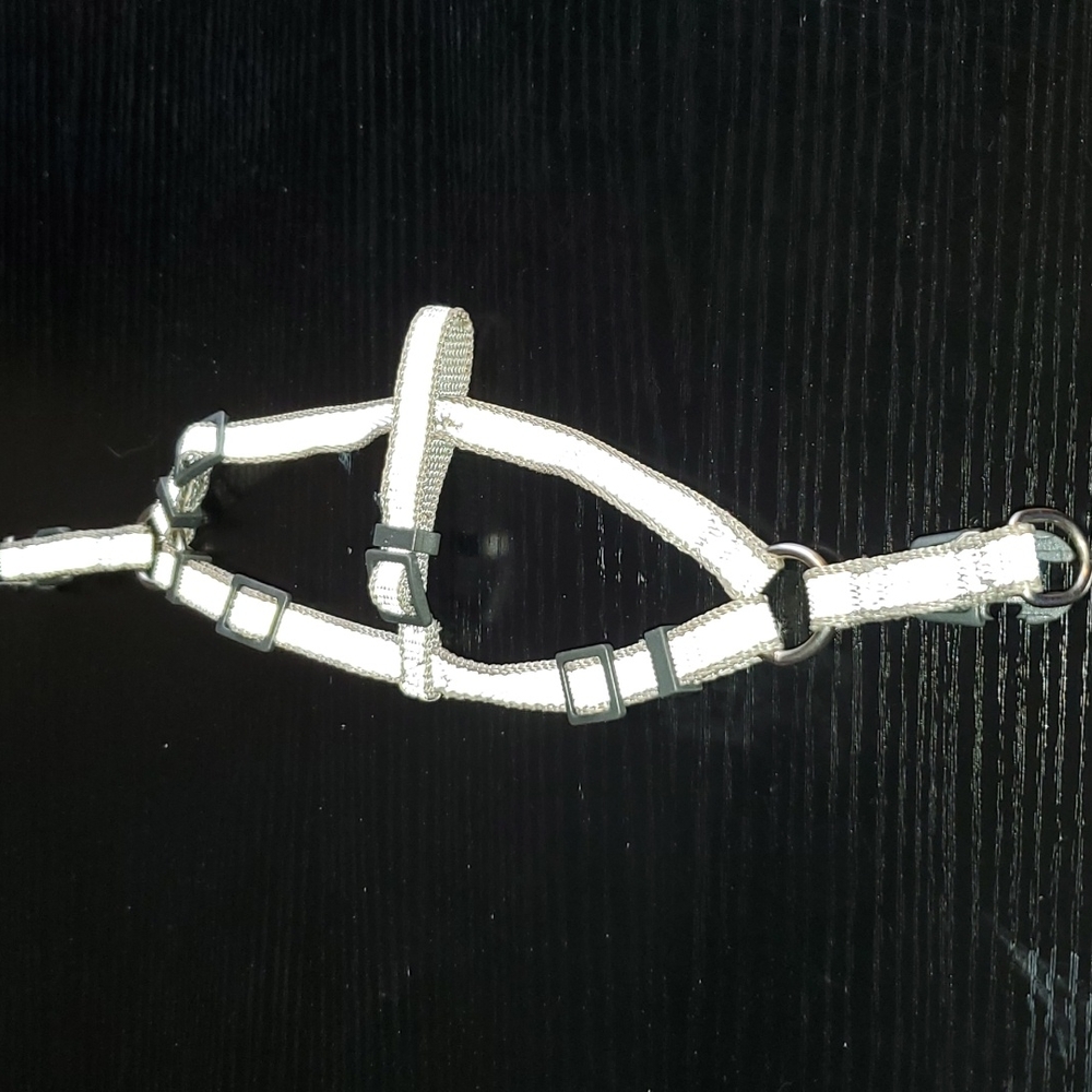 PUPPY HARNESS - Picture 3 of 4